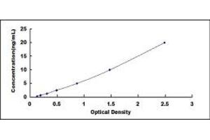 Typical standard curve (CEMP1 ELISA 试剂盒)