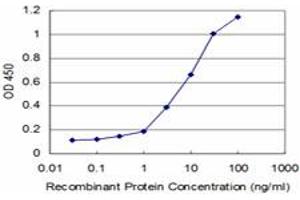 Detection limit for recombinant GST tagged PHF1 is approximately 0. (PHF1 抗体  (AA 2-100))