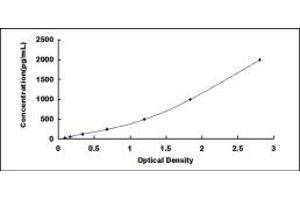 Typical standard curve (LIF ELISA 试剂盒)