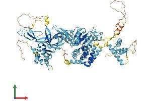 Protein Structure (PS) image for Minichromosome Maintenance Complex Component 6 (MCM6) (AA 1-821) protein (His tag) (ABIN7554505)