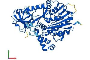 AlphaFold protein structure predicition of Human Recombinant NSUN6 Protein, UniprotID Q8TEA1
