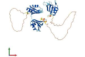 Protein Structure (PS) image for ELAV (Embryonic Lethal, Abnormal Vision, Drosophila)-Like 4 (Hu Antigen D) (ELAVL4) (AA 1-385) protein (His tag) (ABIN7557732)