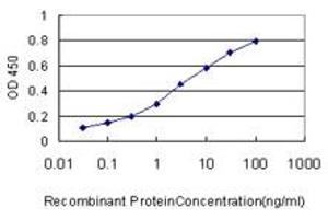 ELISA image for anti-SWI/SNF Related, Matrix Associated, Actin Dependent Regulator of Chromatin, Subfamily B, Member 1 (SMARCB1) (AA 81-180) antibody (ABIN562912)