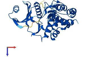 FN3K Protein (AA 1-309) (His tag)