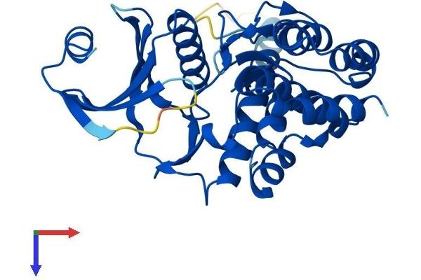 FN3K Protein (AA 1-309) (His tag)