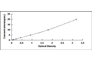 Typical standard curve (COMP ELISA 试剂盒)