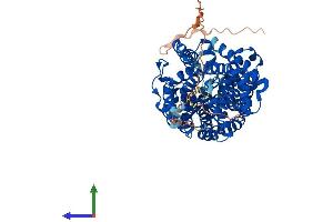 Protein Structure (PS) image for Solute Carrier Family 6 (Neurotransmitter Transporter, serotonin), Member 4 (SLC6A4) (AA 1-630) protein (His tag) (ABIN7555372)