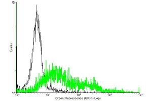 FACS analysis of negative control 293 cells (Black) and NPY5R expressing 293 cells (Green) using NPY5R purified MaxPab mouse polyclonal antibody. (NPY5R 抗体  (AA 1-445))