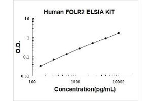 Human FOLR2 PicoKine ELISA Kit standard curve