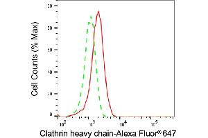 Flow cytometric analysis of Clathrin heavy chain expression in HepG2 cells using Clathrin heavy chain antibody (ABIN7798091), 1:2,000). (Recombinant Clathrin Heavy Chain (CLTC) 抗体)