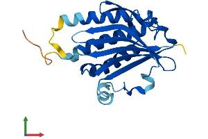 AlphaFold protein structure predicition of Human Recombinant MAD2L2 Protein, UniprotID Q9UI95