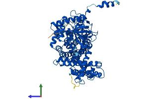 AlphaFold protein structure predicition of Mouse Recombinant Acox2 Protein, UniprotID Q9QXD1