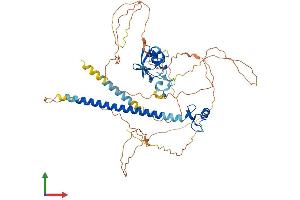 Protein Structure (PS) image for Deformed Epidermal Autoregulatory Factor 1 (Drosophila) (DEAF1) (AA 1-566) protein (His tag) (ABIN7565284)