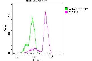 Flow Cytometry (FACS) image for anti-Prostaglandin-Endoperoxide Synthase 1 (Prostaglandin G/H Synthase and Cyclooxygenase) (PTGS1) antibody (ABIN7127434)