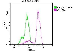 Overlay histogram showing Hela cells stained with ABIN7127434 (red line) at 1:50. (Recombinant PTGS1 抗体)