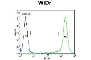 AMAC1L2 Antibody (N-term) flow cytometric analysis of WiDr cells (right histogram) compared to a negative control cell (left histogram). (AMAC1L2 抗体  (N-Term))