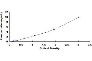 Typical standard curve (RAB1A ELISA 试剂盒)