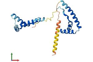 Protein Structure (PS) image for High Mobility Group Box 3 (HMGB3) (AA 1-200) protein (His tag) (ABIN7562434)