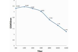 Antigen: 0. (IFNB1 抗体  (AA 101-187))