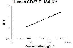 Human TNFRSF7/CD27 PicoKine ELISA Kit standard curve (CD27 ELISA 试剂盒)