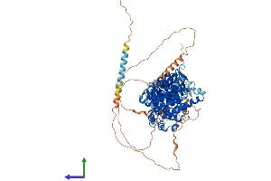 Protein Structure (PS) image for SCY1-Like 1 (SCYL1) (AA 1-806) protein (His tag) (ABIN7561396)