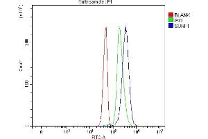 Flow Cytometry analysis of Jurkat cells using anti-SURF1 antibody (ABIN7601006).