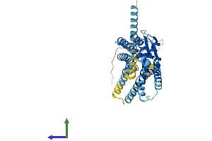 Protein Structure (PS) image for Chemokine (C-X-C Motif) Receptor 7 (CXCR7) (AA 1-362) protein (His tag) (ABIN7551854)