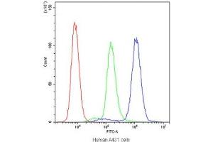 Flow cytometry testing of human A431 cells with PTP4A2 antibody at 1ug/10^6 cells (blocked with goat sera) (PTP4A2 抗体)