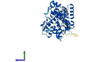Protein Structure (PS) image for Galactose-3-O-Sulfotransferase 2 (GAL3ST2) (AA 1-394) protein (His tag) (ABIN7558132)