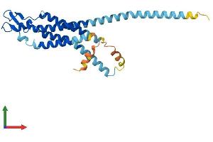 Protein Structure (PS) image for Gap Junction Protein, beta 6, 30kDa (GJB6) (AA 1-261) protein (His tag) (ABIN7556733)