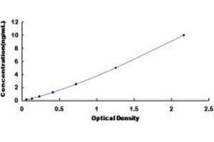 Typical standard curve (HSD17B10 ELISA 试剂盒)