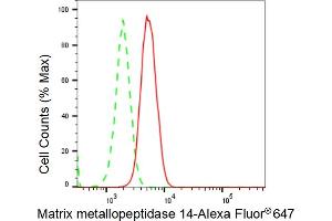 anti-Matrix Metallopeptidase 14 (Membrane-inserted) (MMP14) antibody