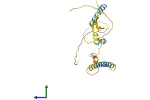 Protein Structure (PS) image for ADP-Ribosylation-Like Factor 6 Interacting Protein 4 (ARL6IP4) (AA 1-229) protein (His tag) (ABIN7561697)