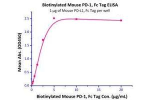 Immobilized Mouse PD-L1 / B7-H1 Protein, Fc Tag (Cat# PD1-M5251）at 10 μg/mL (100 μl/well) can bind Biotinylated Mouse PD-1, Fc tag (Cat# PD1-M82F4 ) with a linear range of 0. (PD-1 Protein (AA 25-167) (Fc Tag,AVI tag,Biotin))
