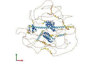 AlphaFold protein structure predicition of Human Recombinant BRD4 Protein, UniprotID O60885