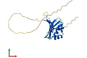AlphaFold protein structure predicition of Human Recombinant OAZ2 Protein, UniprotID O95190
