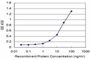 Detection limit for recombinant GST tagged HOXC12 is approximately 0. (HOXC12 抗体  (AA 1-100))