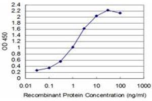 Detection limit for recombinant GST tagged T is approximately 0. (T Brachyury Protein (AA 222-320) 抗体)