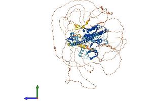 Protein Structure (PS) image for Mitogen-Activated Protein Kinase Kinase Kinase 9 (MAP3K9) (AA 1-1104) protein (His tag) (ABIN7554484)