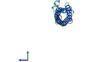 Protein Structure (PS) image for Mal, T-Cell Differentiation Protein-Like (Mall) (AA 1-154) protein (His tag) (ABIN7560070)