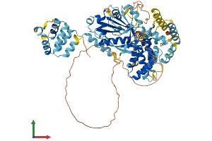 Protein Structure (PS) image for NLR Family, Pyrin Domain Containing 10 (NLRP10) (AA 1-655) protein (His tag) (ABIN7554697)