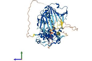 Protein Structure (PS) image for Ankyrin Repeat Domain 13C (ANKRD13C) (AA 1-541) protein (His tag) (ABIN7552212)