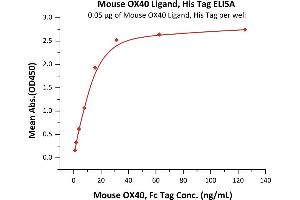 Immobilized Mouse OX40 Ligand, His Tag (ABIN5674649,ABIN6253698) at 0. (TNFSF4 Protein (AA 49-198) (His tag))