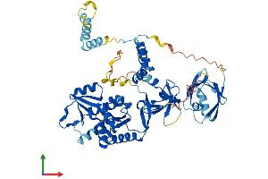 AlphaFold protein structure predicition of Mouse Recombinant Pals2 Protein, UniprotID Q9JLB0