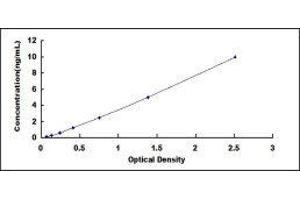 Typical standard curve (CD31 ELISA 试剂盒)