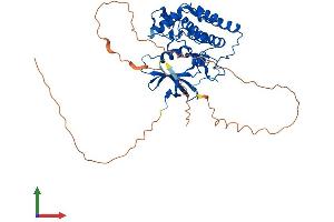 Protein Structure (PS) image for Casein Kinase 1, gamma 3 (CSNK1G3) (AA 1-447) protein (His tag) (ABIN7548639)