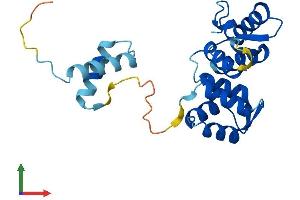 Protein Structure (PS) image for Rhophilin Associated Tail Protein 1 (ROPN1) (AA 1-212) protein (His tag) (ABIN7561466)