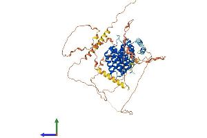 Protein Structure (PS) image for CBP80/20-Dependent Translation Initiation Factor (CTIF) (AA 1-598) protein (His tag) (ABIN7553594)