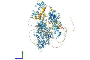 AlphaFold protein structure predicition of Mouse Recombinant Efcab6 Protein, UniprotID Q6P1E8