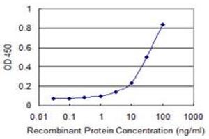 Detection limit for recombinant GST tagged LMBR1 is 1 ng/ml as a capture antibody. (LMBR1 抗体  (AA 214-295))